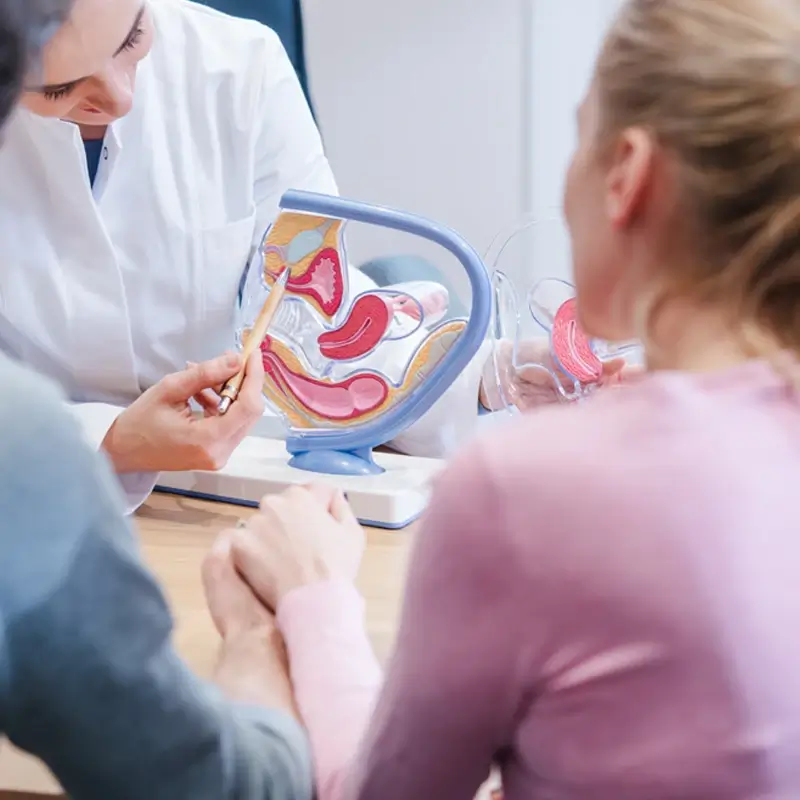 Factors that Affect Fertility and Conception